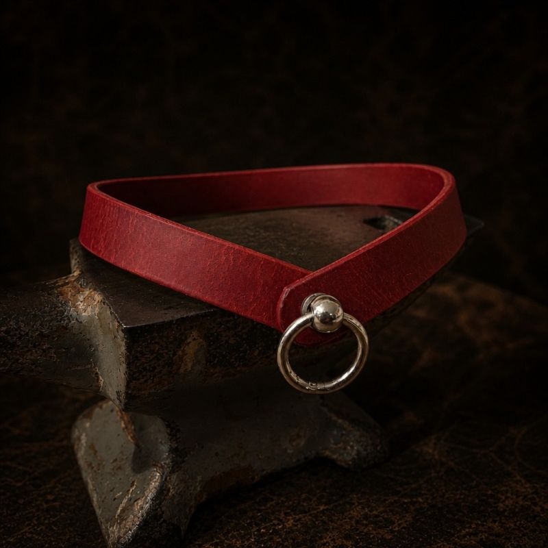 Halsband Blankleder